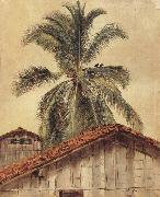 Frederic E.Church Palm Tres and Housetops,Ecuador oil painting artist